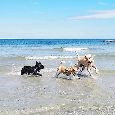 Sommerwind Haushälfte *