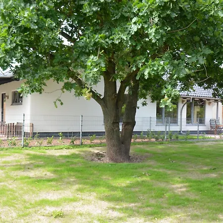 Ferienhaus Sommerwind Haushälfte Fuhlendorf (Mecklenburg-Vorpommern)